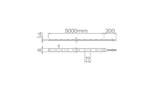 12V EVO LED Strip